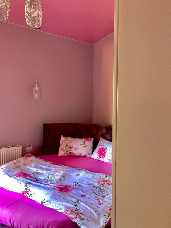 Sweet Pink By Miro Apartment Sinaia Exterior photo