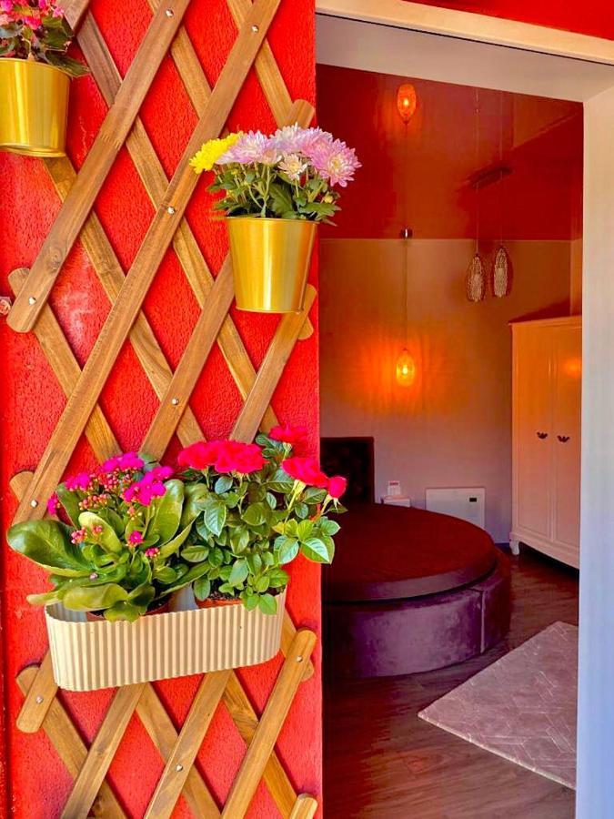 Sweet Pink By Miro Apartment Sinaia Exterior photo