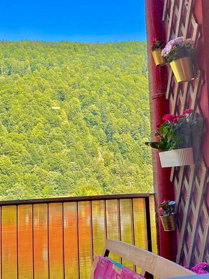 Sweet Pink By Miro Apartment Sinaia Exterior photo